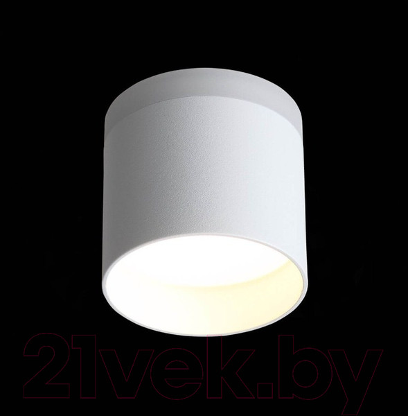 Изображение товара Потолочный светильник ST Luce Panaggio ST102.502.12