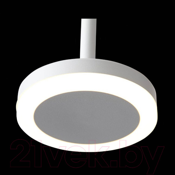 Изображение товара Потолочный светильник ST Luce Ciamella ST104.503.06