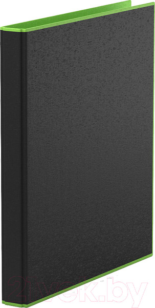 Изображение товара Папка для бумаг Erich Krause Accent / 51080 (салатовый)