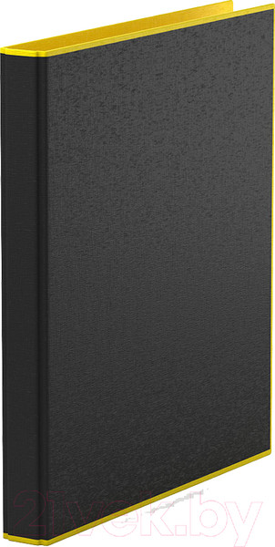 Изображение товара Папка для бумаг Erich Krause Accent / 51085 (желтый)