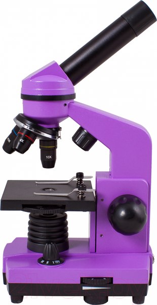 Изображение товара Микроскоп оптический Levenhuk Rainbow 2L / 69036 (Amethyst)