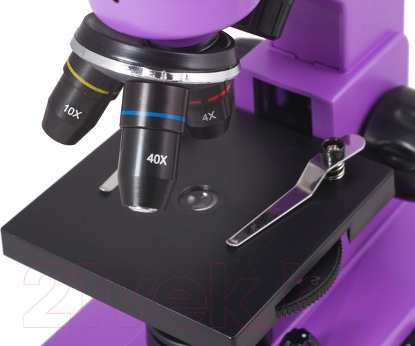 Изображение товара Микроскоп оптический Levenhuk Rainbow 2L / 69036 (Amethyst)