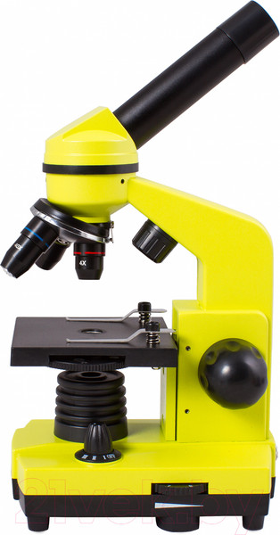 Изображение товара Микроскоп оптический Levenhuk Rainbow 2L / 69038 (Lime)
