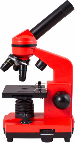 Изображение товара Микроскоп оптический Levenhuk Rainbow 2L / 69039 (Orange)