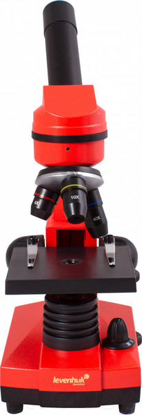 Изображение товара Микроскоп оптический Levenhuk Rainbow 2L / 69039 (Orange)