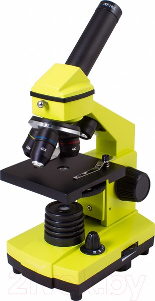 Изображение товара Микроскоп оптический Levenhuk Rainbow 2L Plus / 69044 (Lime)