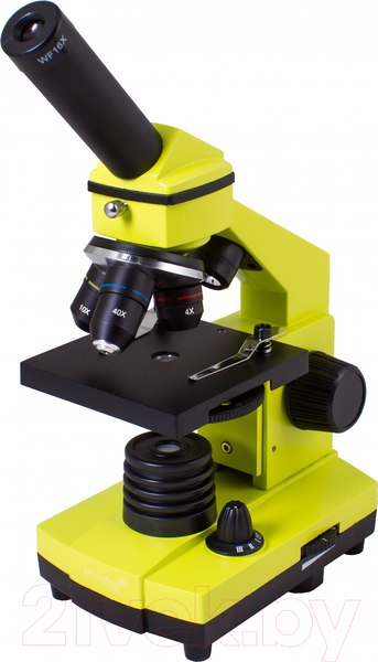 Изображение товара Микроскоп оптический Levenhuk Rainbow 2L Plus / 69044 (Lime)