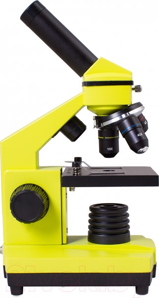 Изображение товара Микроскоп оптический Levenhuk Rainbow 2L Plus / 69044 (Lime)