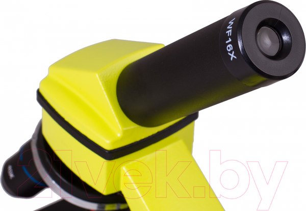 Изображение товара Микроскоп оптический Levenhuk Rainbow 2L Plus / 69044 (Lime)