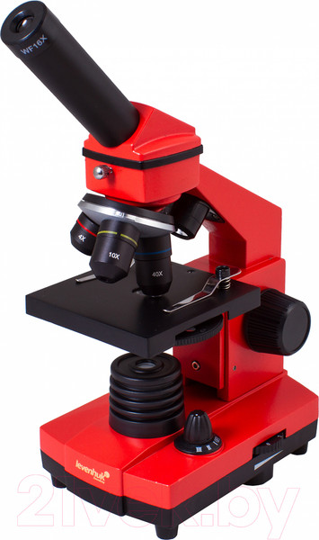 Изображение товара Микроскоп оптический Levenhuk Rainbow 2L Plus / 69045 (Orange)