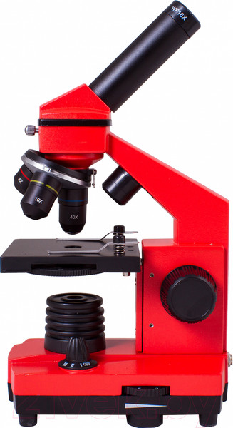 Изображение товара Микроскоп оптический Levenhuk Rainbow 2L Plus / 69045 (Orange)