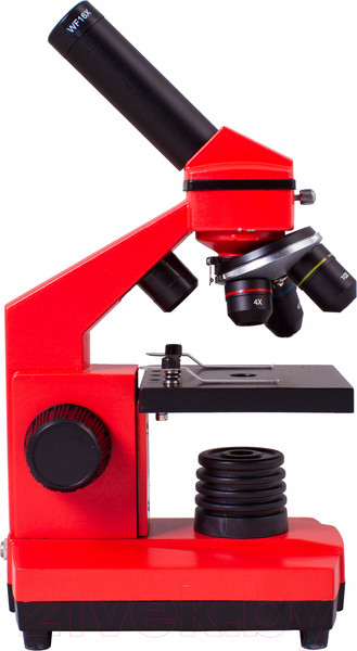 Изображение товара Микроскоп оптический Levenhuk Rainbow 2L Plus / 69045 (Orange)