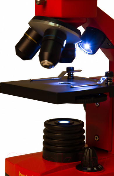 Изображение товара Микроскоп оптический Levenhuk Rainbow 2L Plus / 69045 (Orange)