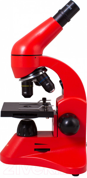 Изображение товара Микроскоп оптический Levenhuk Rainbow 50L / 69050 (Orange)