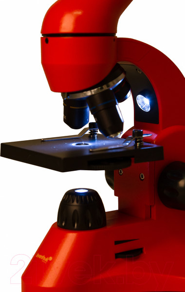 Изображение товара Микроскоп оптический Levenhuk Rainbow 50L / 69050 (Orange)