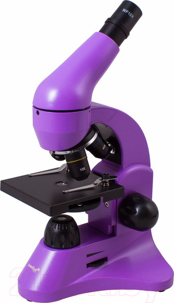 Изображение товара Микроскоп оптический Levenhuk Rainbow 50L / 69047 (Amethyst)