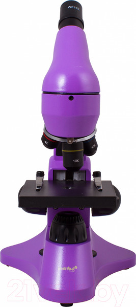 Изображение товара Микроскоп оптический Levenhuk Rainbow 50L / 69047 (Amethyst)