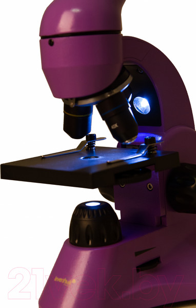 Изображение товара Микроскоп оптический Levenhuk Rainbow 50L / 69047 (Amethyst)