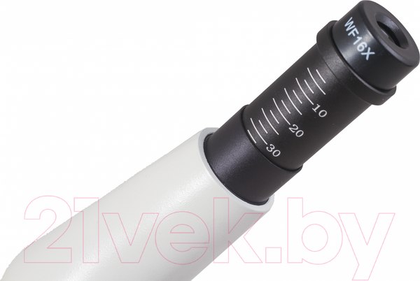 Изображение товара Микроскоп оптический Levenhuk Rainbow 50L Plus / 69051 (Moonstone)