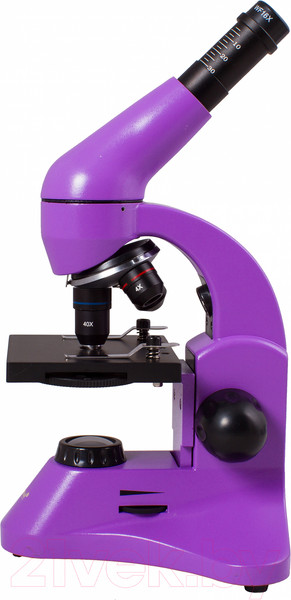 Изображение товара Микроскоп оптический Levenhuk Rainbow 50L Plus / 69052 (Amethyst)