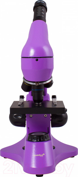 Изображение товара Микроскоп оптический Levenhuk Rainbow 50L Plus / 69052 (Amethyst)
