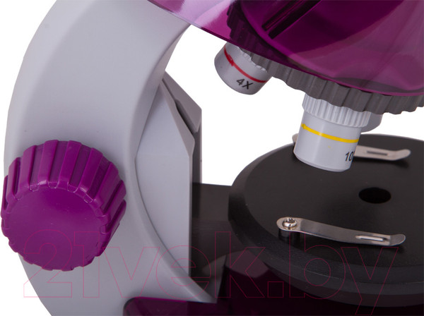 Изображение товара Микроскоп оптический Levenhuk LabZZ M101 / 69033 (Amethyst)