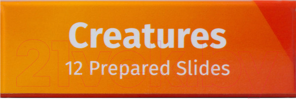 Изображение товара Набор микропрепаратов Levenhuk LabZZ C12 / 72868 (существа)