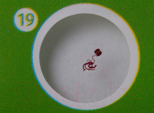 Изображение товара Набор микропрепаратов Levenhuk LabZZ P12 / 72869 (растения)