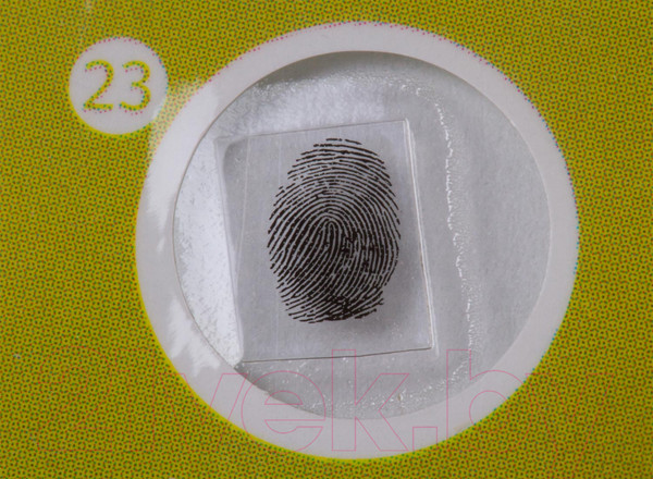 Изображение товара Набор микропрепаратов Levenhuk LabZZ P12 / 72869 (растения)