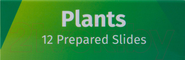 Изображение товара Набор микропрепаратов Levenhuk LabZZ P12 / 72869 (растения)