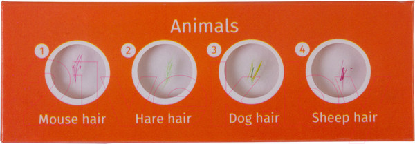 Изображение товара Набор микропрепаратов Levenhuk LabZZ CP24 / 72870 (существа и растения)