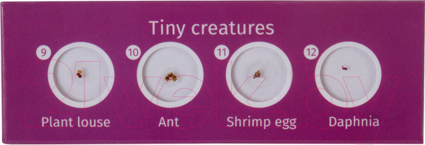 Изображение товара Набор микропрепаратов Levenhuk LabZZ CP24 / 72870 (существа и растения)