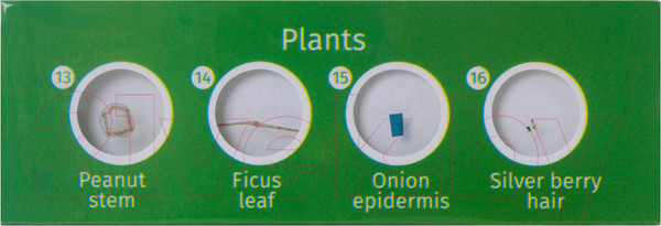 Изображение товара Набор микропрепаратов Levenhuk LabZZ CP24 / 72870 (существа и растения)