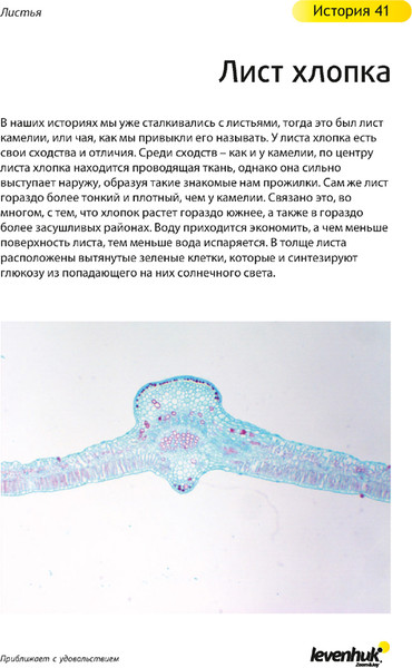 Изображение товара Набор микропрепаратов Levenhuk N80 NG Увидеть все! / 29280