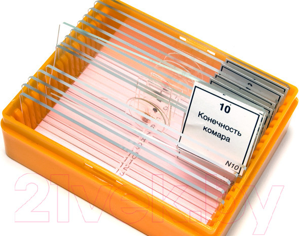 Изображение товара Набор микропрепаратов Levenhuk N10 NG / 29279