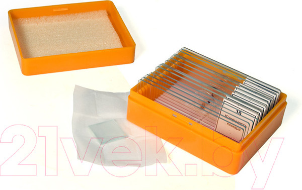 Изображение товара Набор микропрепаратов Levenhuk N10 NG / 29279