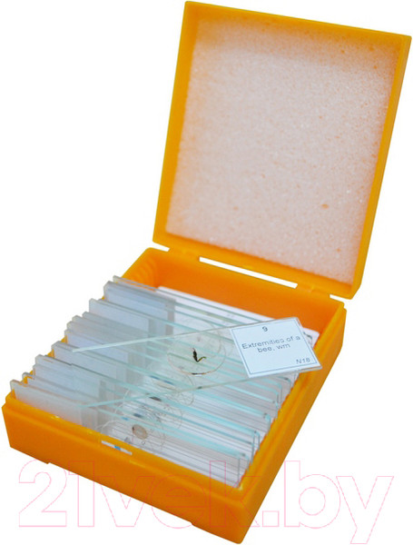 Изображение товара Набор микропрепаратов Levenhuk N10 NG / 29279