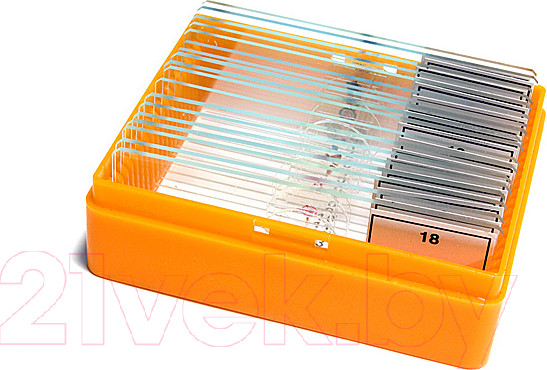 Изображение товара Набор микропрепаратов Levenhuk N18 NG / 29276