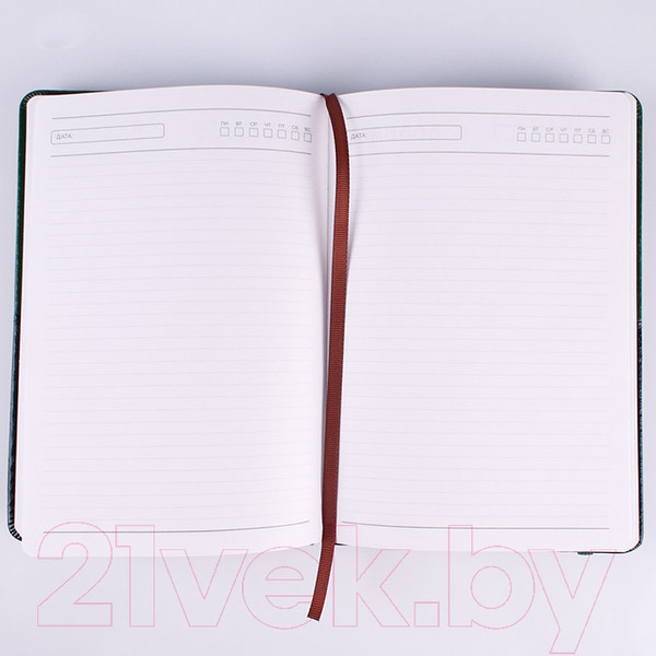 Изображение товара Ежедневник Darvish DV-12584 (140л)