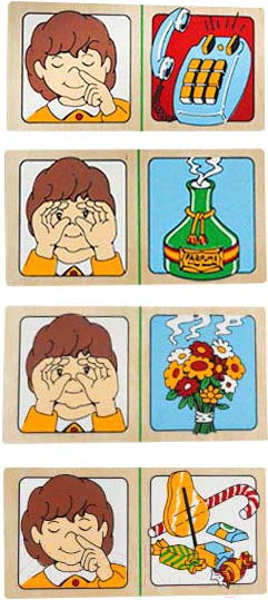 Изображение товара Развивающая игра ЛЭМ Домино. Органы чувств / 1505