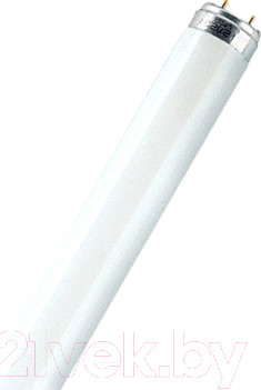 Изображение товара Лампа Osram ЛБ.L 36W/640 G13 4000К