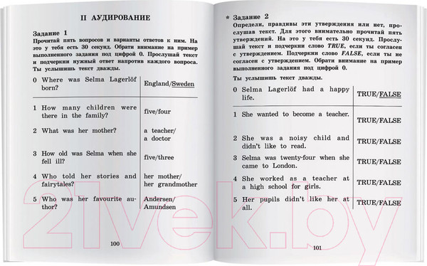 Изображение товара Учебное пособие Айрис-пресс Путешествие Нильса с дикими гусями. Домашнее чтение (Лагерлеф С.)