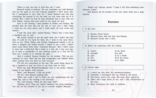 Изображение товара Учебное пособие Айрис-пресс Дорога заклинаний. Домашнее чтение (Пучкова Ю.)