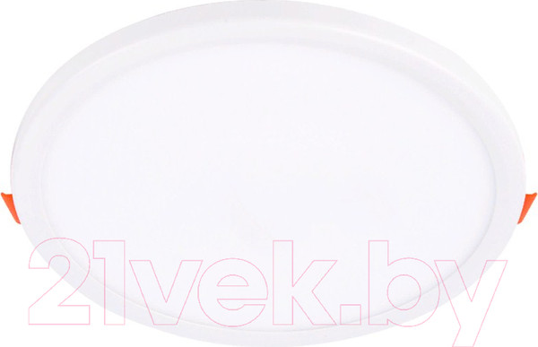 Изображение товара Потолочный светильник Ambrella DLR307