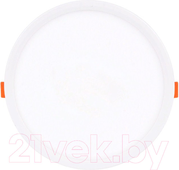 Изображение товара Потолочный светильник Ambrella DLR313