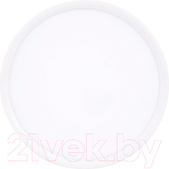 Изображение товара Потолочный светильник Ambrella DLR313