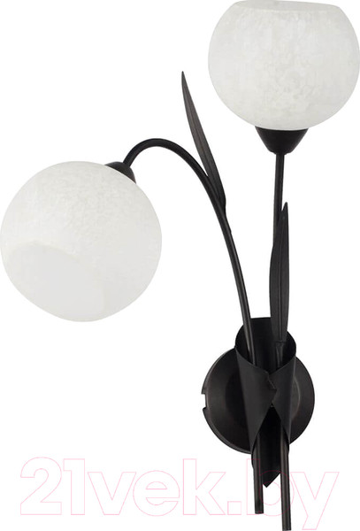 Изображение товара Бра Lussole Loft Bagheria GRLSF-6291-02