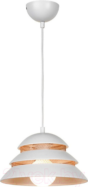 Изображение товара Потолочный светильник Lussole Loft Beijing GRLSP-8130