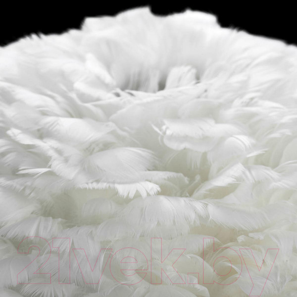 Изображение товара Люстра Lussole Loft Cuscino GRLSP-8360