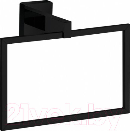 Изображение товара Держатель для полотенца Aquanet 6580MB